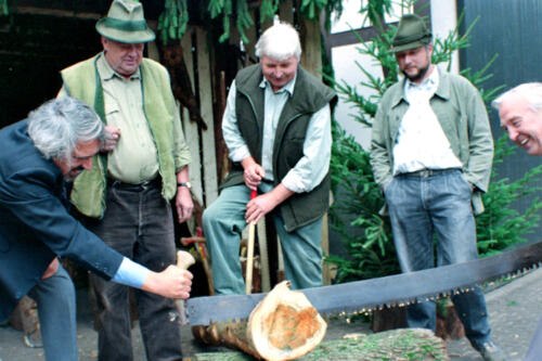 1996 700Jahre-Stadt-und-Pfarrrechte MSP 0352-1